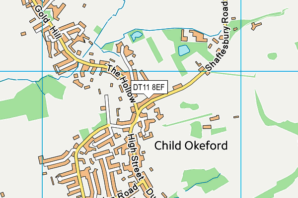 DT11 8EF map - OS VectorMap District (Ordnance Survey)
