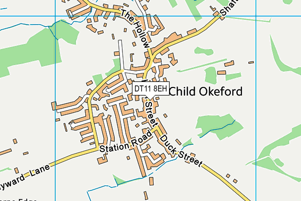 DT11 8EH map - OS VectorMap District (Ordnance Survey)