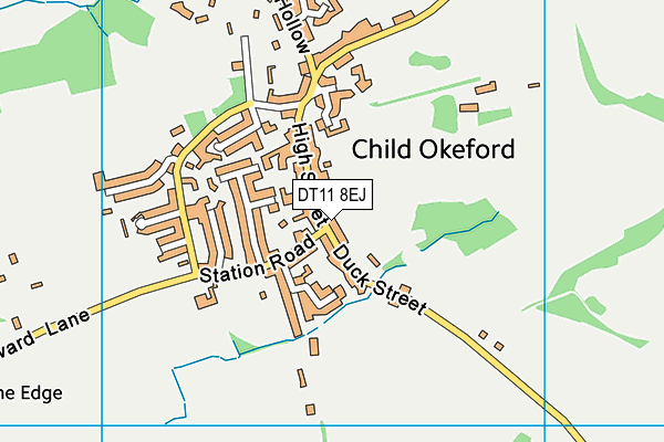 DT11 8EJ map - OS VectorMap District (Ordnance Survey)