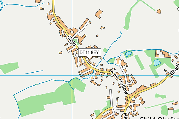 DT11 8EY map - OS VectorMap District (Ordnance Survey)