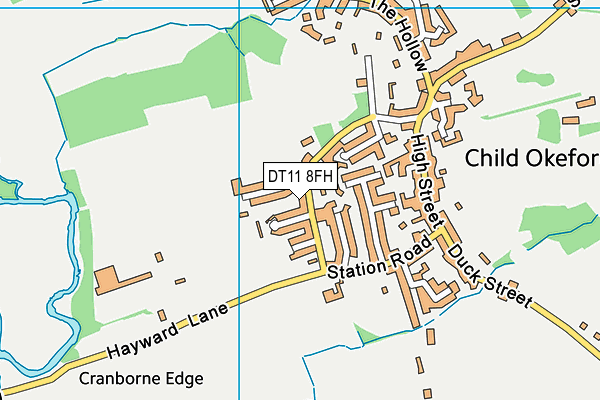 DT11 8FH map - OS VectorMap District (Ordnance Survey)