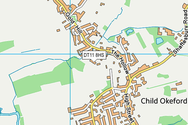 DT11 8HS map - OS VectorMap District (Ordnance Survey)