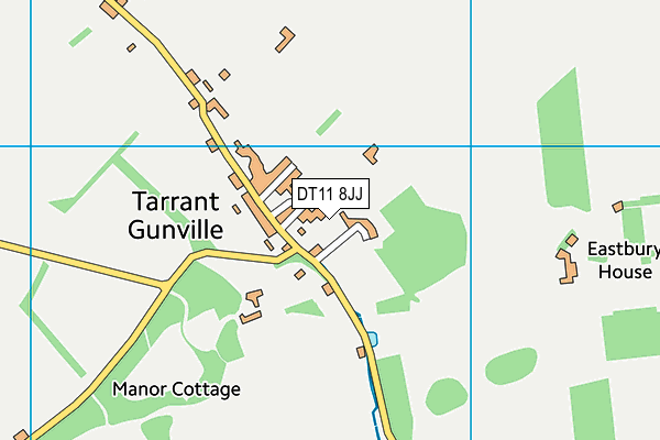 DT11 8JJ map - OS VectorMap District (Ordnance Survey)