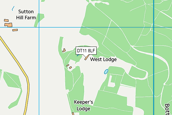 DT11 8LF map - OS VectorMap District (Ordnance Survey)