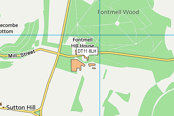 DT11 8LH map - OS VectorMap District (Ordnance Survey)