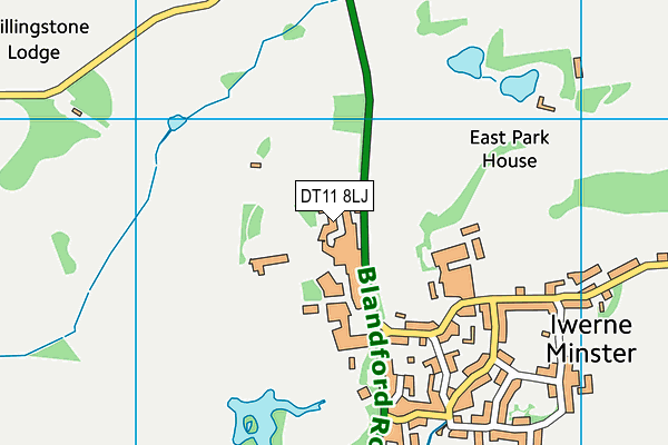DT11 8LJ map - OS VectorMap District (Ordnance Survey)