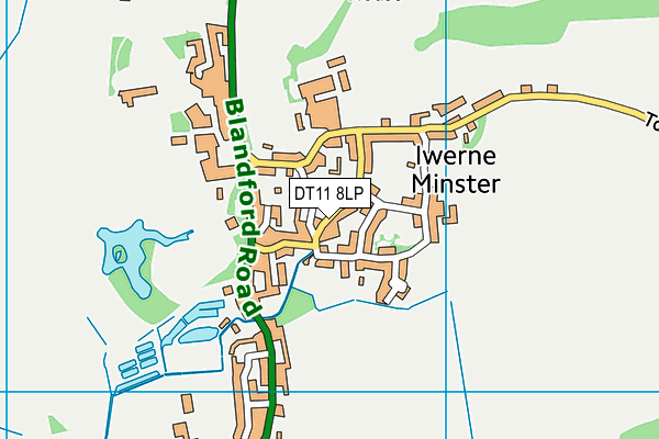 DT11 8LP map - OS VectorMap District (Ordnance Survey)