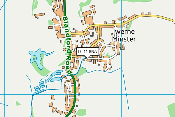 DT11 8NA map - OS VectorMap District (Ordnance Survey)