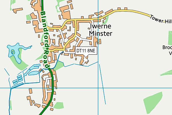 DT11 8NE map - OS VectorMap District (Ordnance Survey)