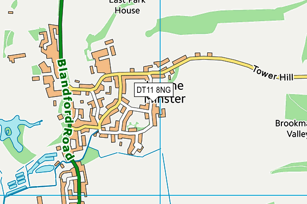 DT11 8NG map - OS VectorMap District (Ordnance Survey)