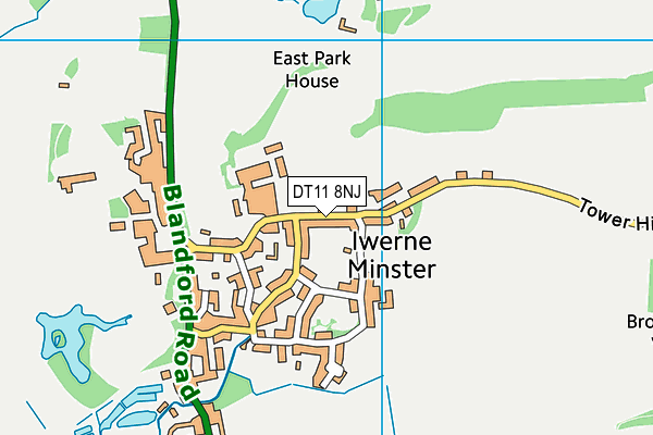 DT11 8NJ map - OS VectorMap District (Ordnance Survey)