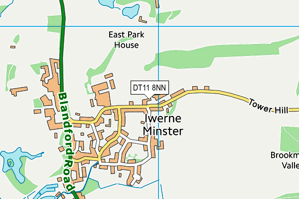 DT11 8NN map - OS VectorMap District (Ordnance Survey)