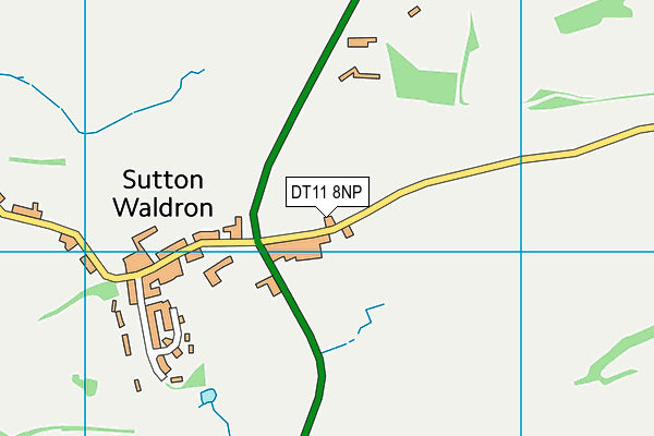 DT11 8NP map - OS VectorMap District (Ordnance Survey)