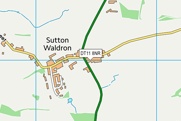 DT11 8NR map - OS VectorMap District (Ordnance Survey)