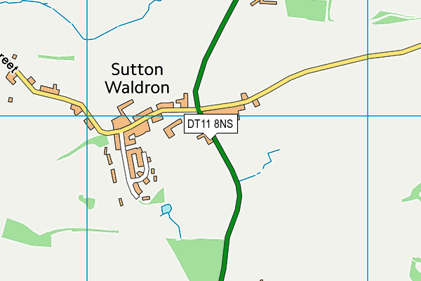 DT11 8NS map - OS VectorMap District (Ordnance Survey)