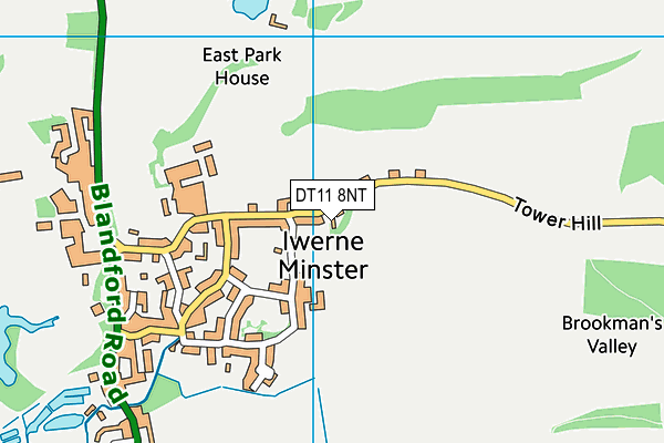 DT11 8NT map - OS VectorMap District (Ordnance Survey)