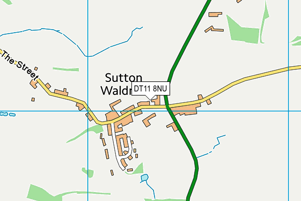 DT11 8NU map - OS VectorMap District (Ordnance Survey)