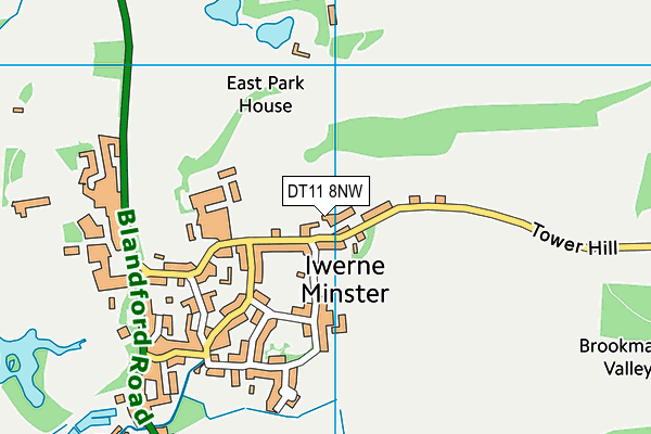 DT11 8NW map - OS VectorMap District (Ordnance Survey)