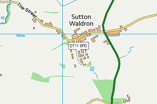 DT11 8PD map - OS VectorMap District (Ordnance Survey)