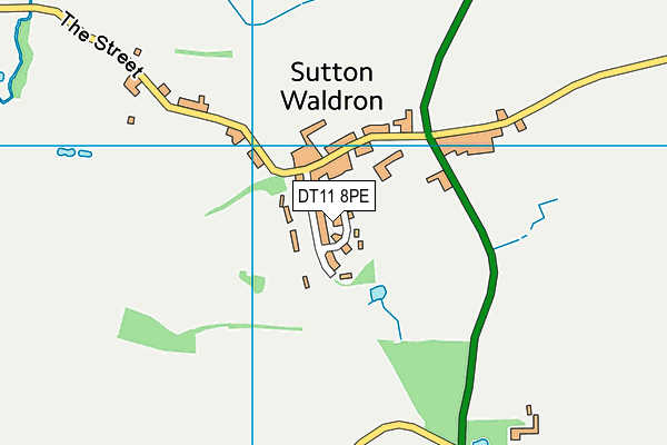 DT11 8PE map - OS VectorMap District (Ordnance Survey)