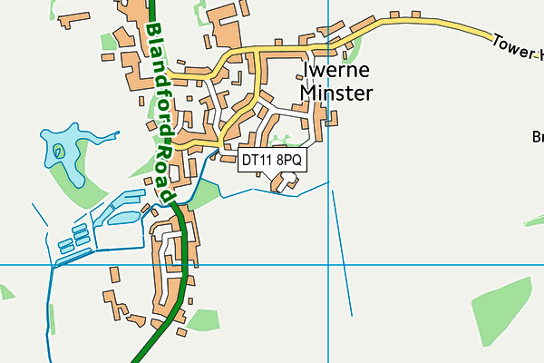 DT11 8PQ map - OS VectorMap District (Ordnance Survey)