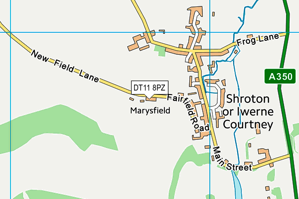 DT11 8PZ map - OS VectorMap District (Ordnance Survey)