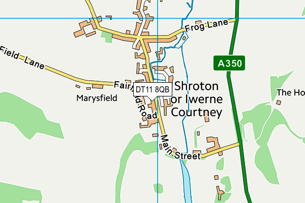 DT11 8QB map - OS VectorMap District (Ordnance Survey)