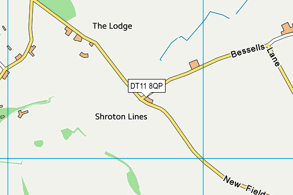 DT11 8QP map - OS VectorMap District (Ordnance Survey)