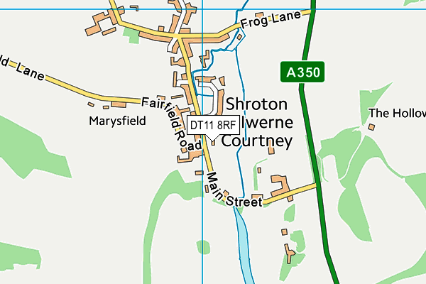 DT11 8RF map - OS VectorMap District (Ordnance Survey)