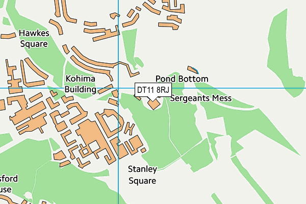 DT11 8RJ map - OS VectorMap District (Ordnance Survey)