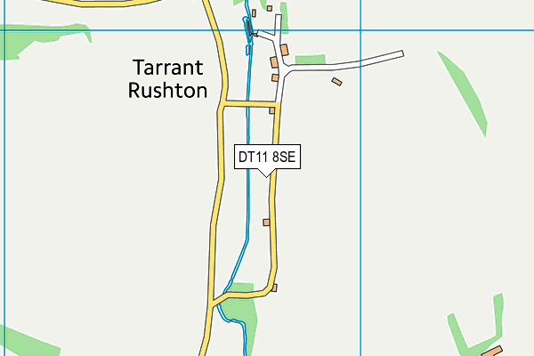 DT11 8SE map - OS VectorMap District (Ordnance Survey)