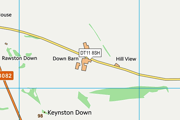 DT11 8SH map - OS VectorMap District (Ordnance Survey)