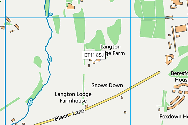 DT11 8SJ map - OS VectorMap District (Ordnance Survey)