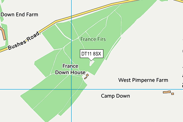 DT11 8SX map - OS VectorMap District (Ordnance Survey)
