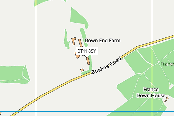 DT11 8SY map - OS VectorMap District (Ordnance Survey)