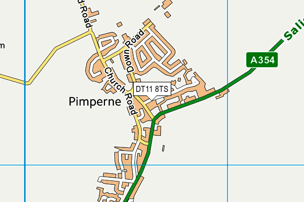 DT11 8TS map - OS VectorMap District (Ordnance Survey)