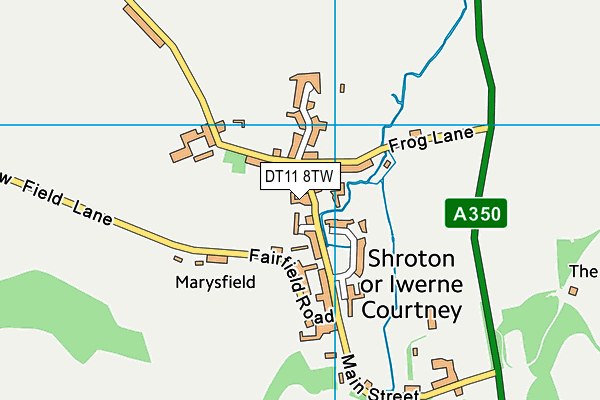 DT11 8TW map - OS VectorMap District (Ordnance Survey)