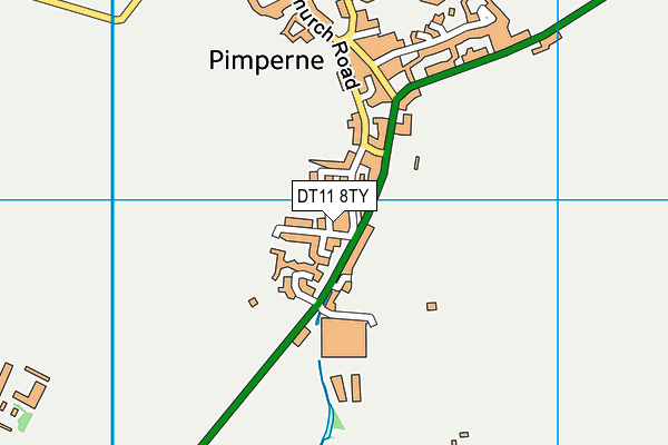 DT11 8TY map - OS VectorMap District (Ordnance Survey)