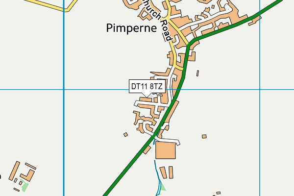 DT11 8TZ map - OS VectorMap District (Ordnance Survey)