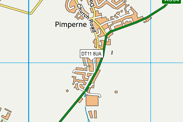 DT11 8UA map - OS VectorMap District (Ordnance Survey)