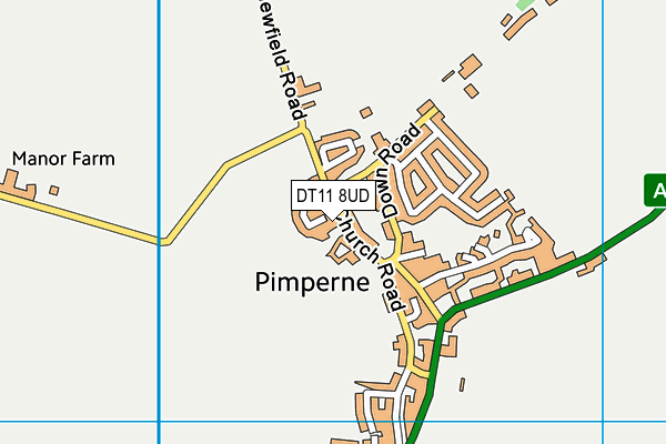 DT11 8UD map - OS VectorMap District (Ordnance Survey)