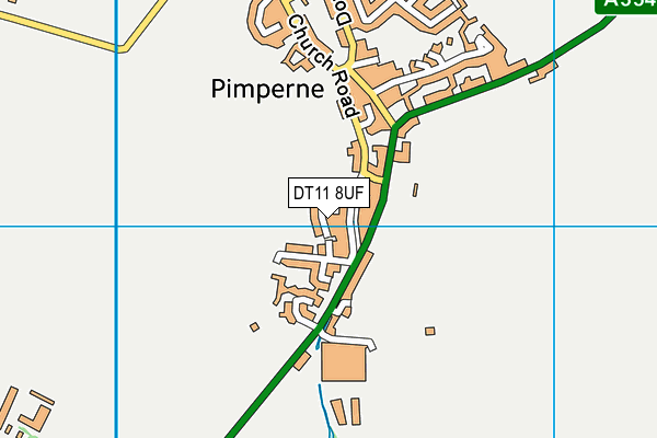 DT11 8UF map - OS VectorMap District (Ordnance Survey)