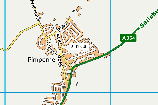 DT11 8UH map - OS VectorMap District (Ordnance Survey)