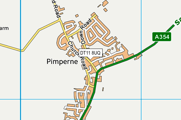 DT11 8UQ map - OS VectorMap District (Ordnance Survey)