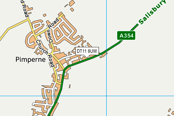 DT11 8UW map - OS VectorMap District (Ordnance Survey)