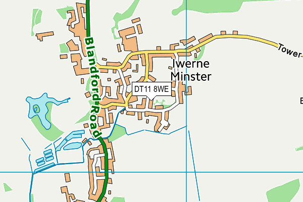 DT11 8WE map - OS VectorMap District (Ordnance Survey)