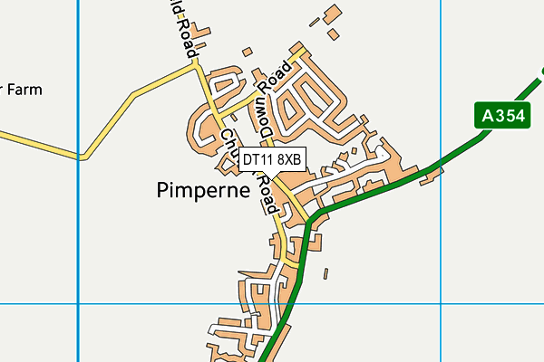 DT11 8XB map - OS VectorMap District (Ordnance Survey)