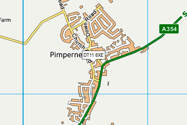 DT11 8XE map - OS VectorMap District (Ordnance Survey)