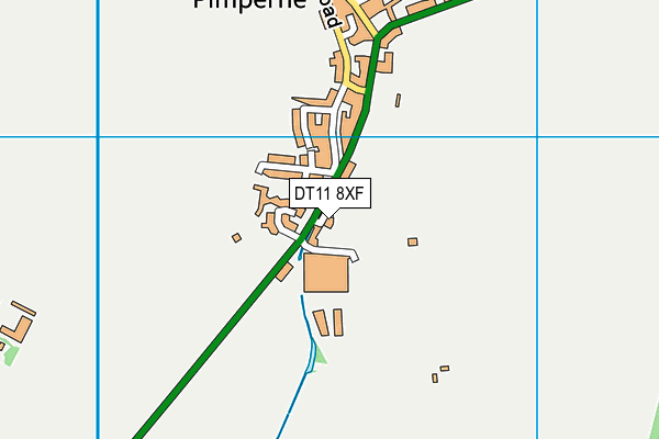 DT11 8XF map - OS VectorMap District (Ordnance Survey)