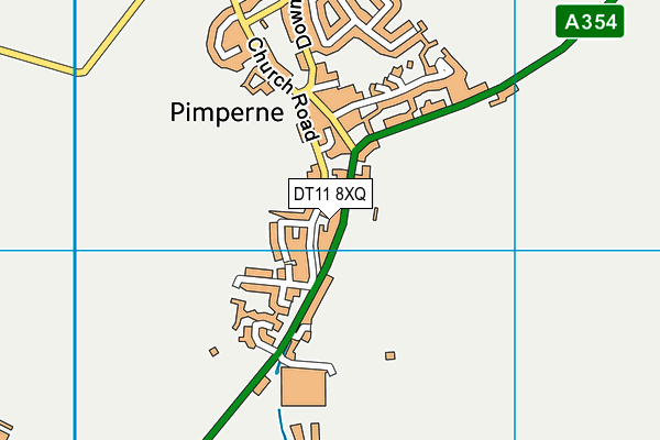 DT11 8XQ map - OS VectorMap District (Ordnance Survey)